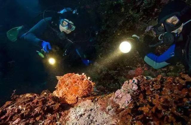 外交部：红海局势紧张是加沙冲突外溢的突出表现