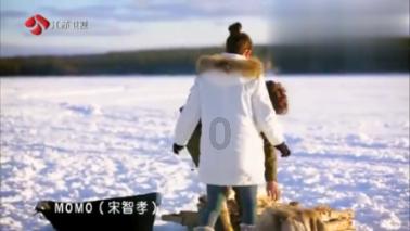 主人把小奶狗送人,只剩一个,狗妈:宝宝你乖,你是妈妈的秘密!