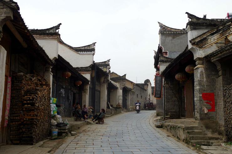 拯救枯树