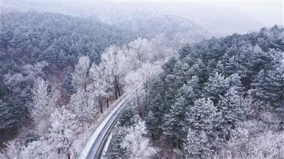 了解唐氏综合症究竟是一种什么疾病呢平台的领先知识